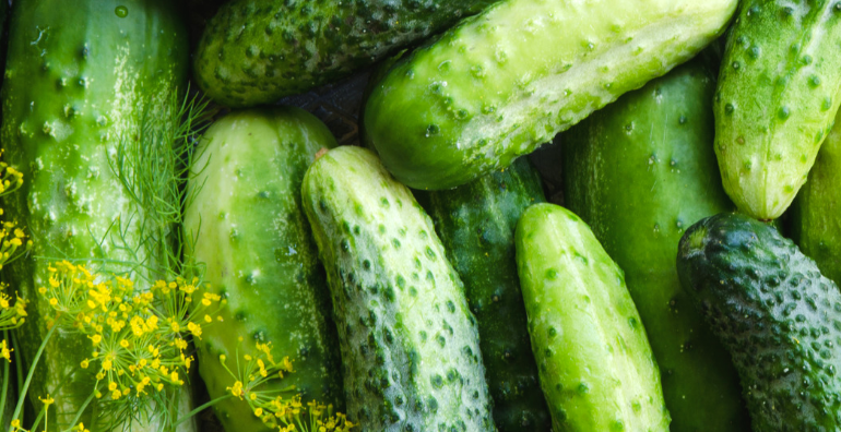 Fresh and crispy cucumbers packed in jars