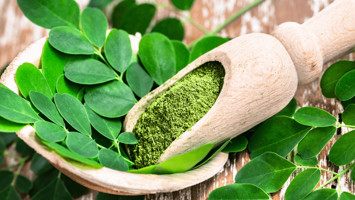 Why is ‘Moringa’ a superfood?